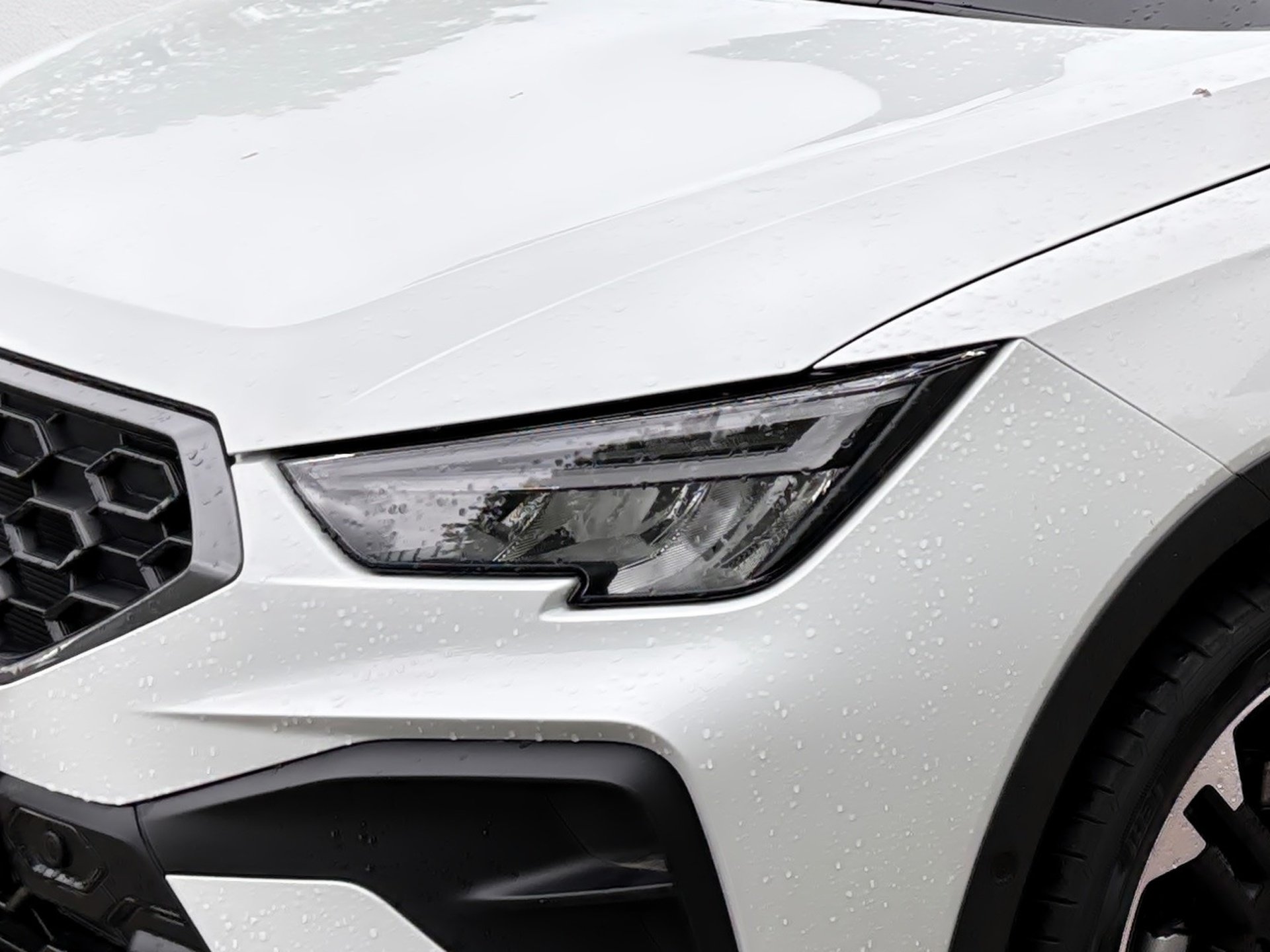 Arona Black Edition 1.0 TSI DSG *ab sofort*